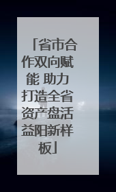 省市合作双向赋能 助力打造全省资产盘活益阳新样板